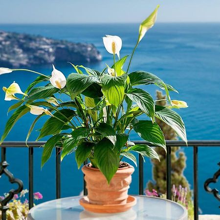 Casa 11 Vistas Villa La Herradura  Dış mekan fotoğraf